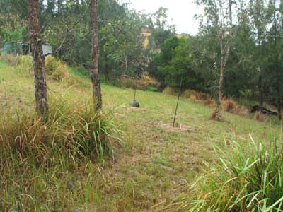 Krinkl Theatre Tree Planting